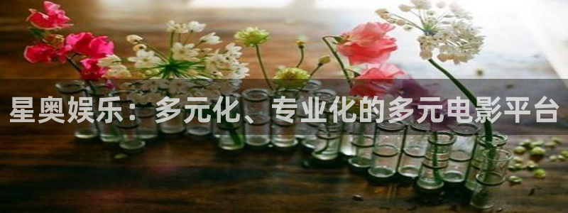 三牛娱乐：星奥娱乐：多元化、专业化的多元电影平台