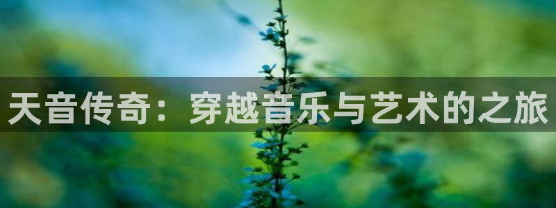 三牛娱乐：天音传奇：穿越音乐与艺术的之旅