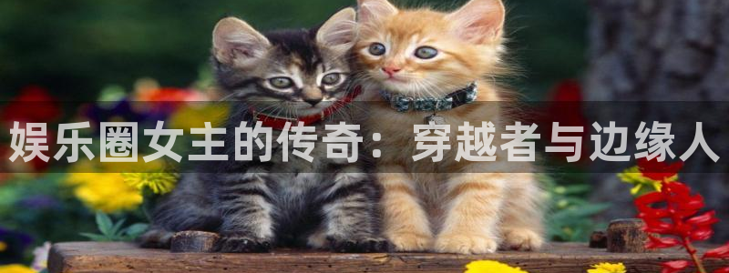 upload/20250701114914.jpg